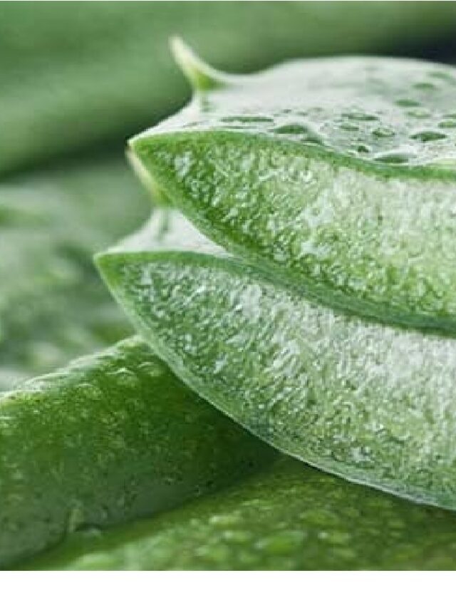 Super Potent Aloe Vera for health and skin related problems