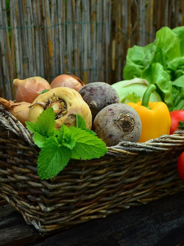 vegetables, basket, vegetable basket-752153.jpg