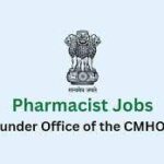 Chief Medical and Health Officer (CMHO)