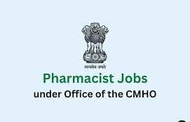 Chief Medical and Health Officer (CMHO)