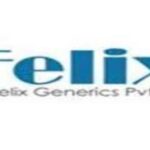 Felix Generics Private Limited