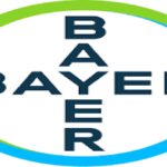 Bayer