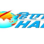 Hindustan Aeronautics Limited (HAL)